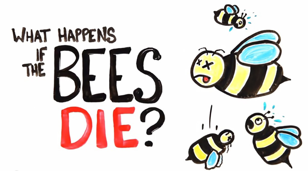 bees