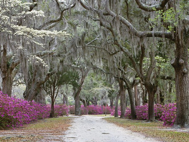 amazing-streets-around-the-world