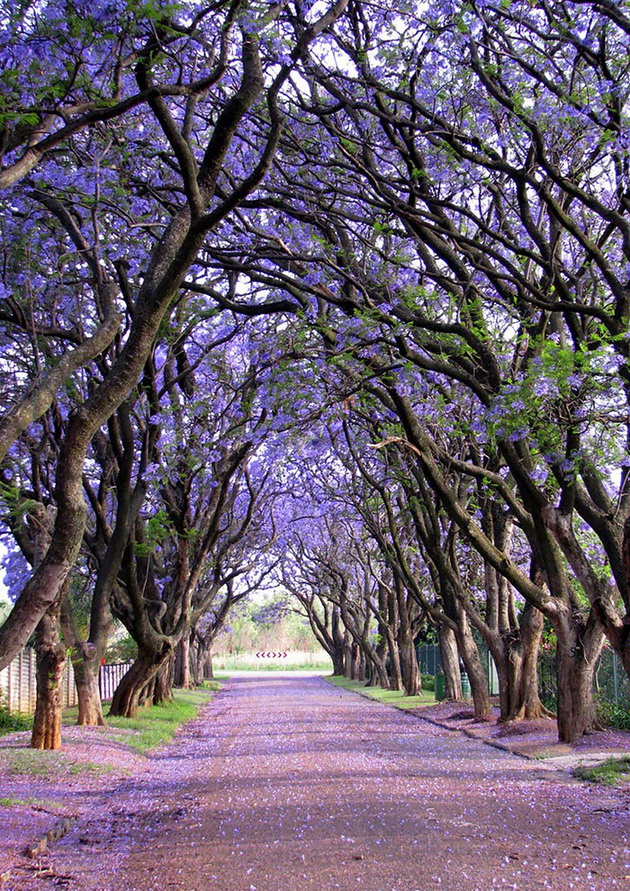 amazing-streets-around-the-world