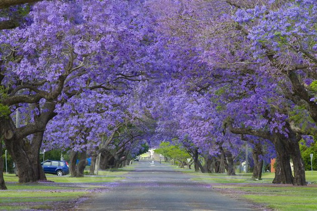 amazing-streets-around-the-world