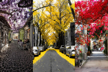 amazing streets around the world