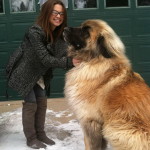 big dogs