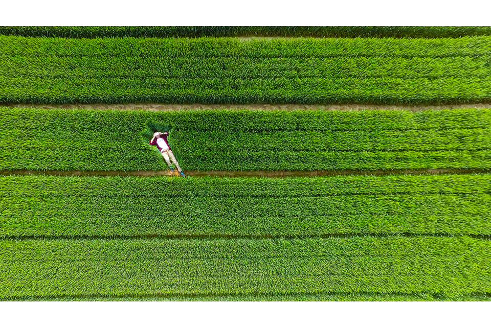 drone photography
